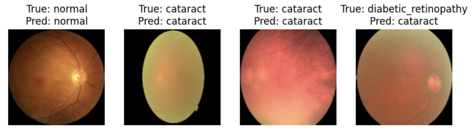 Example model output: predicted vs true labels on test images